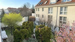 Blick von oben auf den gepflegten Innenhof mit Bäumen, Sträuchern und blühenden Pflanzen.