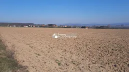 Einmalige Gelegenheit großer Grund mit Bohrrecht Thermalwasser - Unique opportunity to acquire large land near Heviz with drilling rights for thermal water.