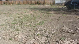 Leeres Grundstück mit trockenem Gras und Erde, umgeben von einem Holzzaun und Häusern im Hintergrund.