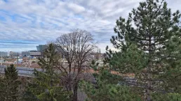PROVISIONSFREIE DACHTERRASSENWOHNUNG MIT GARTENMITBENÜTZUNG