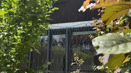 Großes Grundstück in schöner Siedlungslage mit Abbruchhaus