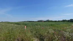 ECKGRUNDSTÜCK INMITTEN SCHÖNER NATUR NÄHE WIEN BRATISLAVA