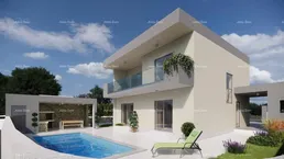 Haus