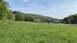 Großes Grundstück 4.267m² in Weissenbach/Hinterbrühl mit vielen Möglichkeiten!
