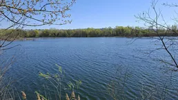 Ruhiger See umgeben von üppiger Vegetation unter klarem blauem Himmel.