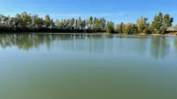 Ruhiger See umgeben von Bäumen unter blauem Himmel, ideal für Naturbeobachtungen und Entspannung.