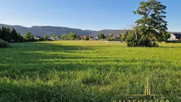 Nahe Schneeberg &amp; Hoher Wand: 3260 m² großes Grundstück in idyllischer Gegend