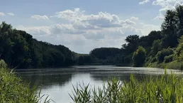 EISVOGEL - Leben im Nationalpark Donauauen nahe Wien