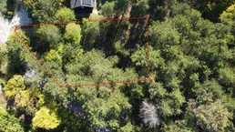 Wohnen wo die Natur beginnt - Waldrandgrundstück mit Option auf Waldpacht