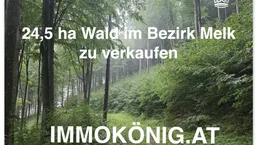 Seltene Gelegenheit: 24,5 ha Wald samt 1,2 ha landwirtsch.NFL verkaufen