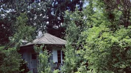 Grüne Oase mitten in Linz, Garten (ca. 900m²) mit kleinem Gartenhaus (24m²) und Keller