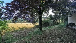 Grundstück mit altem Baumbestand in Gföhl - ca. 2.500 m², Bauland/ Grünland, Bestandsgebäude