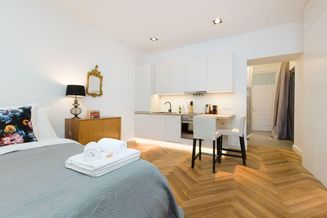 Individuell eingerichtetes und komplett neu moebliertes Apartment Wien mit modernem Badezimmer