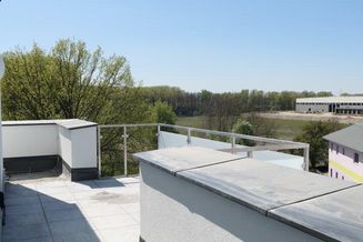 Sonnig ausgerichtete 3 Zimmer Dachgeschoss Wohnung mit XXL - Freifläche (Dachterrasse/Balkon) direkt in Spillern