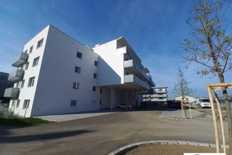 HERBSTAKTION - Gratisstrom für 6 Monate - moderne 2,5-Zimmer-Balkon-Wohnung, BS5, Top 16 in Pixendorf mit idealer Lage