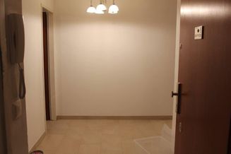 Miethit: Zweitbezug nach Sanierung: 3-Zimmer-Wohnung in 1130 Wien privat zu vermieten