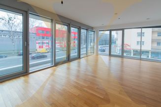 Optimale 2-Zimmer-Wohnung mit moderner DAN-Küche in Linz-Zentrum zu vermieten! (Top 18)