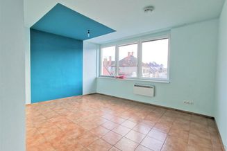 DB IMMOBILIEN | Malerische farbenfrohe Wohnung mit Panoramablick aus 2 grossen Zimmern plus Wohn/Ess-Küche, eventuell möglich Büro, Praxis, oder ähnliches