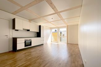 3-Zimmer Wohnung mit Balkon, Direkt in Melk, Gerade fertiggestellt: sofort beziehbar, PROVISIONSFREI 