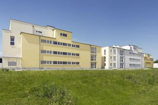 Neufurth. Ab April 2023: Geförderte 3 Zimmer Wohnung | 46 m² Garten | Miete mit Kaufoption.