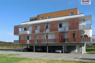 Großzügige 3 Zimmer- Dachgeschosswohnung mit Schwimmbiotop in Petzenkirchen