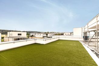 Exklusives Penthouse mit Dachgarten in Regau/Lixlau