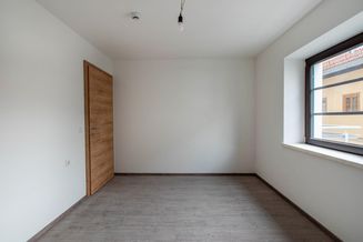 Neu erbaute Wohnung mit schönem Bergblick ( 04651 )