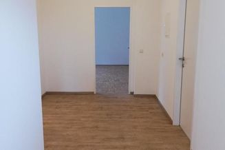 *3 MONATE MIETREDUZIERT WOHNEN* renovierte 3 Zimmer Wohnung in Ebensee