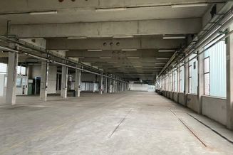 Produktions-Lagerhalle von 3.500m² bis ca. 11.500m² mit 5x Laderampen.