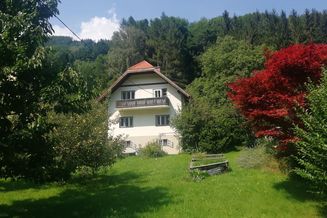 Einfamilienhaus mit Charme am Waldrand in Gloggnitz