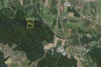 Waldgrundstück (4,26 ha) in Weitendorf zu verkaufen