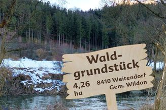Waldgrundstück (4,26 ha) in Weitendorf zu verkaufen