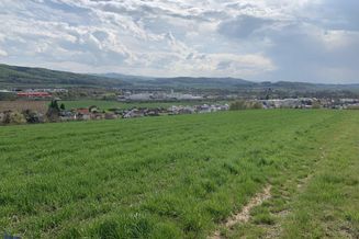 Landwirtschaftliche Fläche (3) in Lanzendorf bei Böheimkirchen