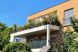 2 Zimmer-Wohnung mit großer Terrasse und Carportplatz Nähe ORF-Park! 