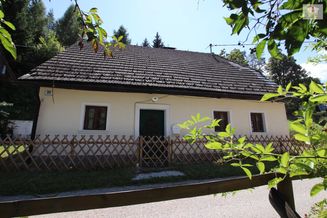 Älteres, teilsaniertes 90m² Bauernhaus/Ferienhaus mit Nebengebäude in Sittersdorf