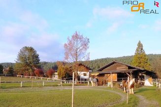 Ambientes Landhaus mit Poolhaus + kl. Pferderanch in Kärnten