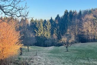 Brodingberg: sonnig, ruhig - in ländlicher Umgebung - Waldnähe