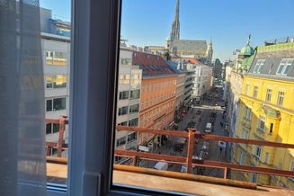 Stilvoll eingerichtete Vier -Zimmer -Wohnung mit Ausblick auf den Stephansdom- Kurzzeitmiete für Ihren geschäftlichen oder privaten Wienaufenthalt