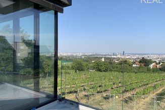 Einmalige VILLA mit Panoramablick über die Weinberge und die City