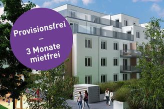PROVISIONSFREI UND 3 MONATE MIETFREI - 2-Zimmer-Wohnung Neubau Erstbezug inkl Balkon, Komplettküche und Kellerabteil /ALF50-28