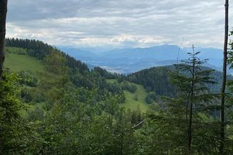 Ca. 25 ha Wald mit Bauplatz in der Ferienregion Kärnten 