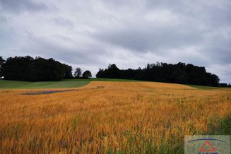 Verkaufe größere Landwirtschaft mit ca. 21,5 Hektar zwischen Salzburg und Braunau