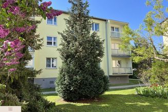 Individuelle Wohnung mit mehreren Möglichkeiten (ein Kleingarten ist für Sie zu pachten) - Wiener Neudorf