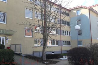 01260 00033 / 3 Zimmer Wohnung in Wieselburg