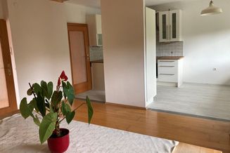 Schöne helle ruhige Wohnung (ca. 150m2) mit Balkon (10 m2) und Garten (200m2) im 10. Bezirk (PRIVAT)