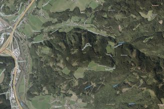 Nachhaltiges Investment in Waldgrundstücke mit 344.022 m² Gesamtfläche in der Steiermark
