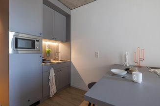 ERSTBEZUG: möbliertes Apartment über den Dächern von Wien - YOUNIQ Vienna TrIIIple