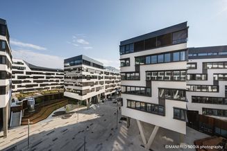 Modernes Arbeiten im VIENNA WORKS am Austria Campus