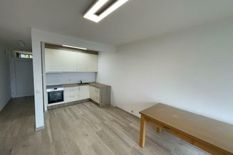 Neu renovierte Wohnung mit Traunsteinblick zu kaufen!