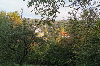 Grandioses Grundstück - Top-Preis - in Klosterneuburg - Wohnparadies für Familien